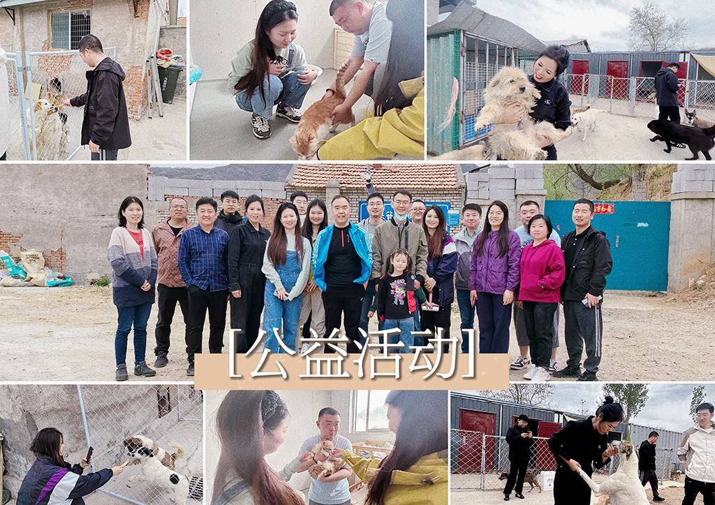 北京盛典博覽公司展現(xiàn)企業(yè)社會責(zé)任，探訪流浪狗基地并舉辦爬山團(tuán)建